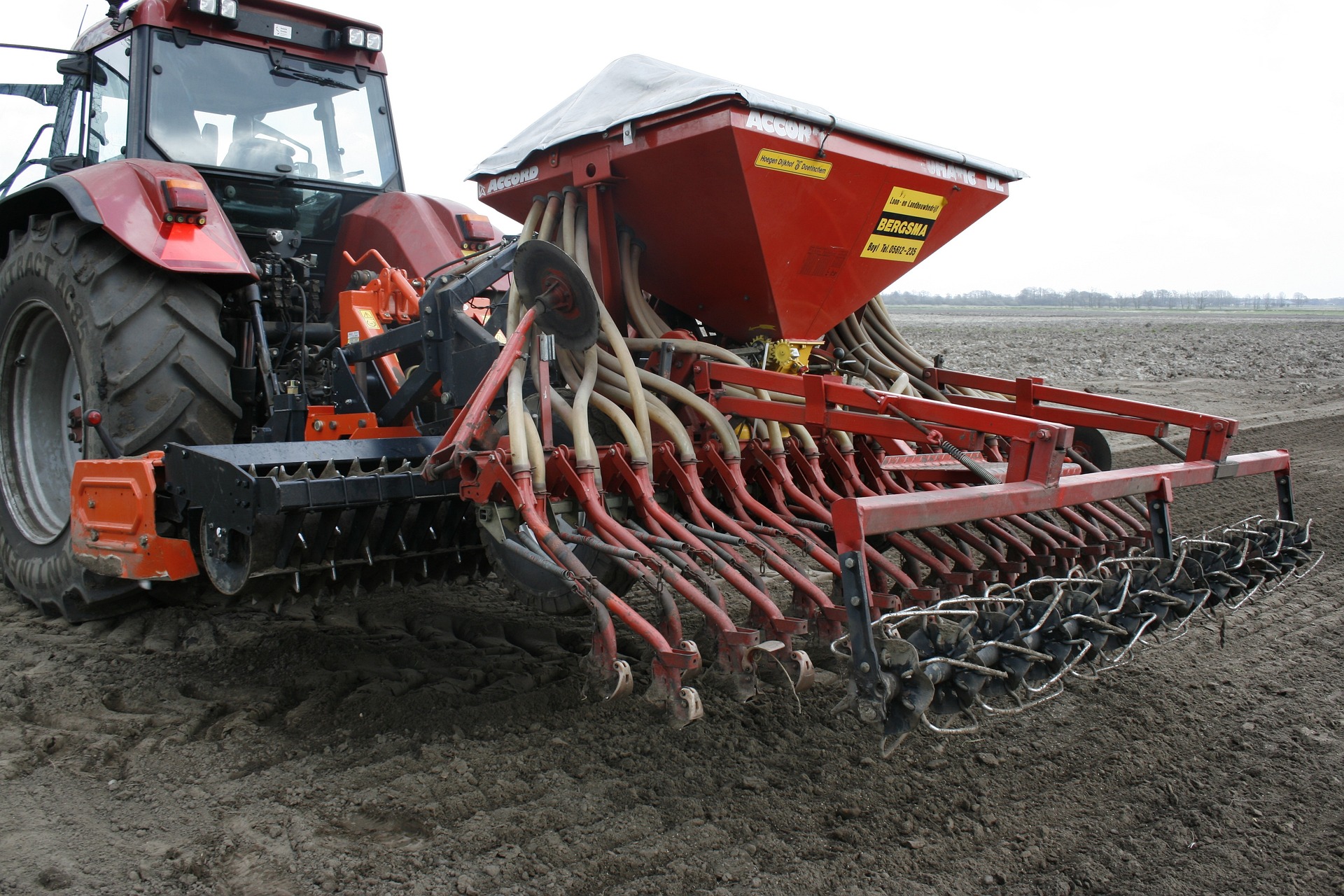 seeder-989473_1920