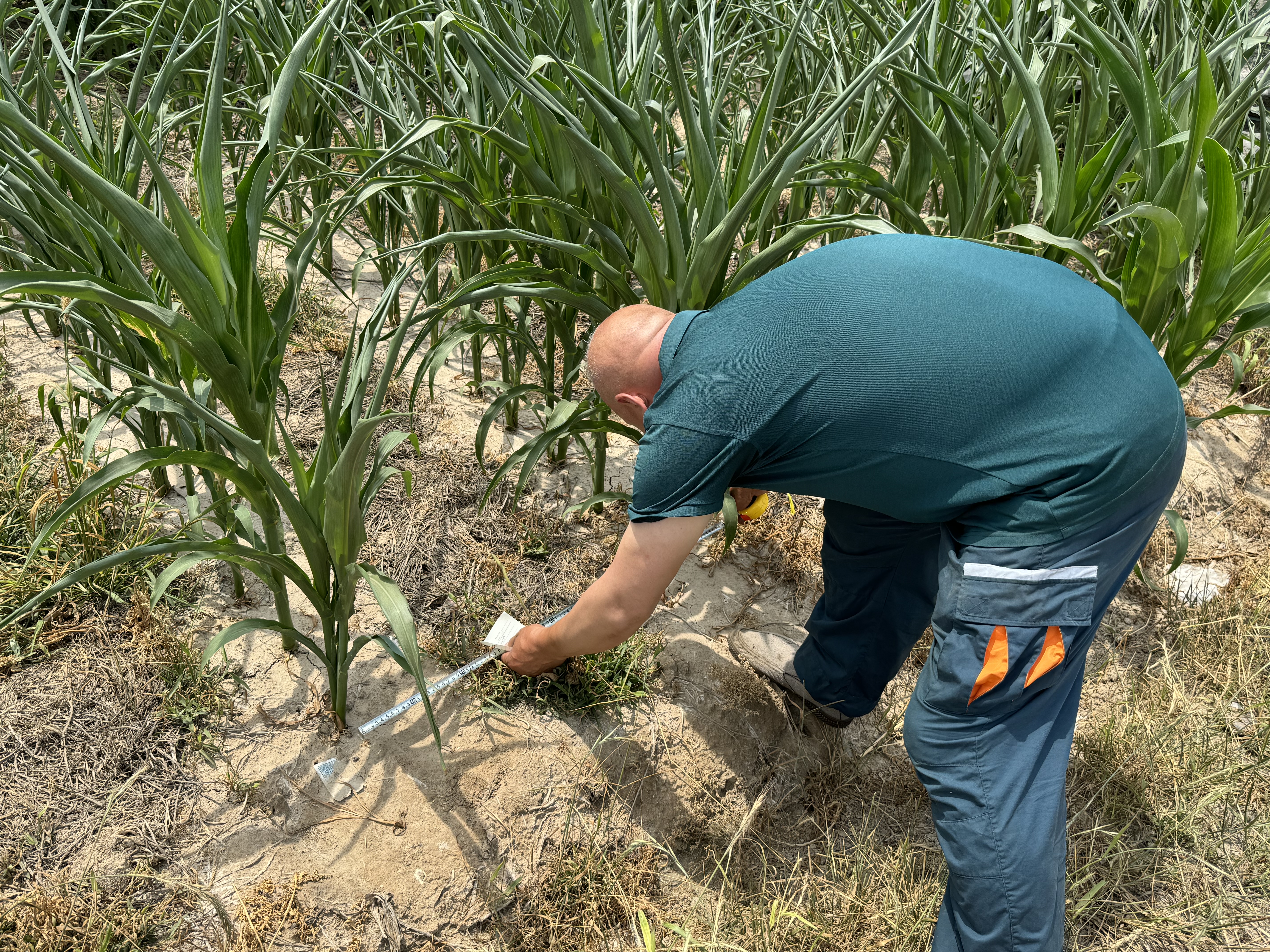 Team analyzing user feedback for hand push seeder improvement